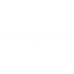 Side hustlers roku tv image logo